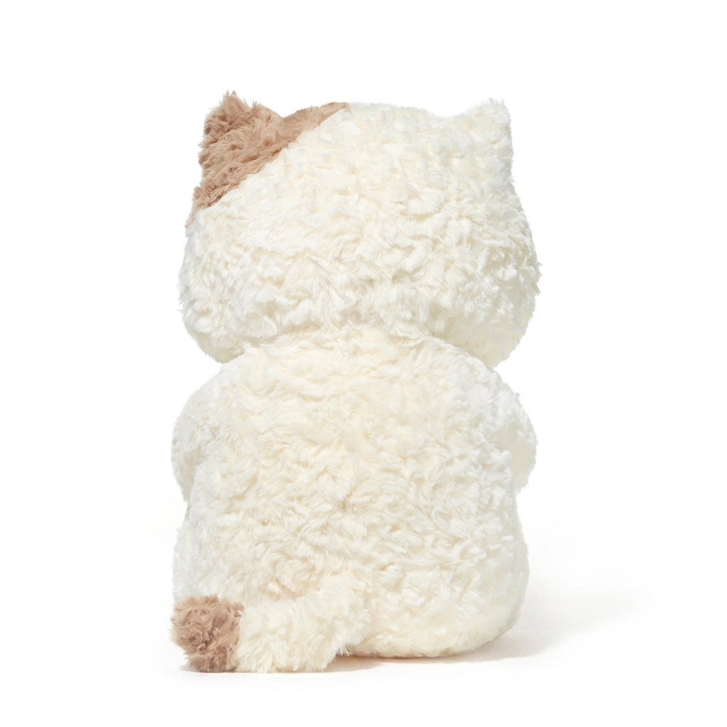 Momo Cat