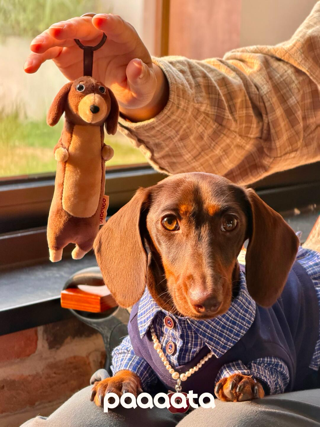 Dachshund Keychain