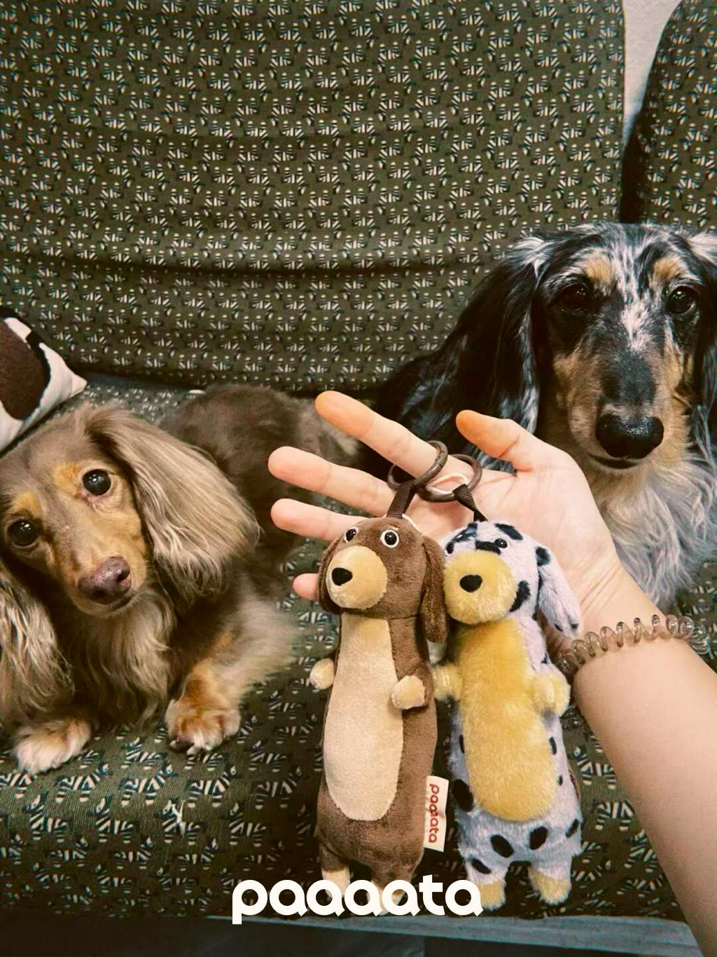 Dachshund Keychain
