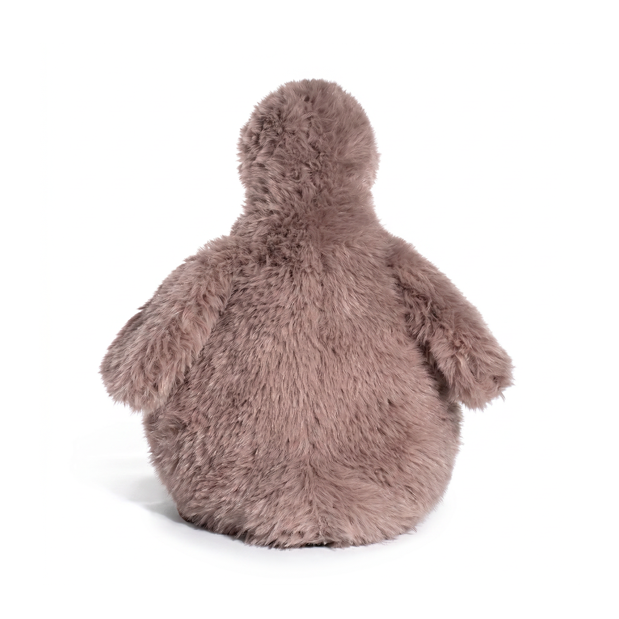 Arby Duck