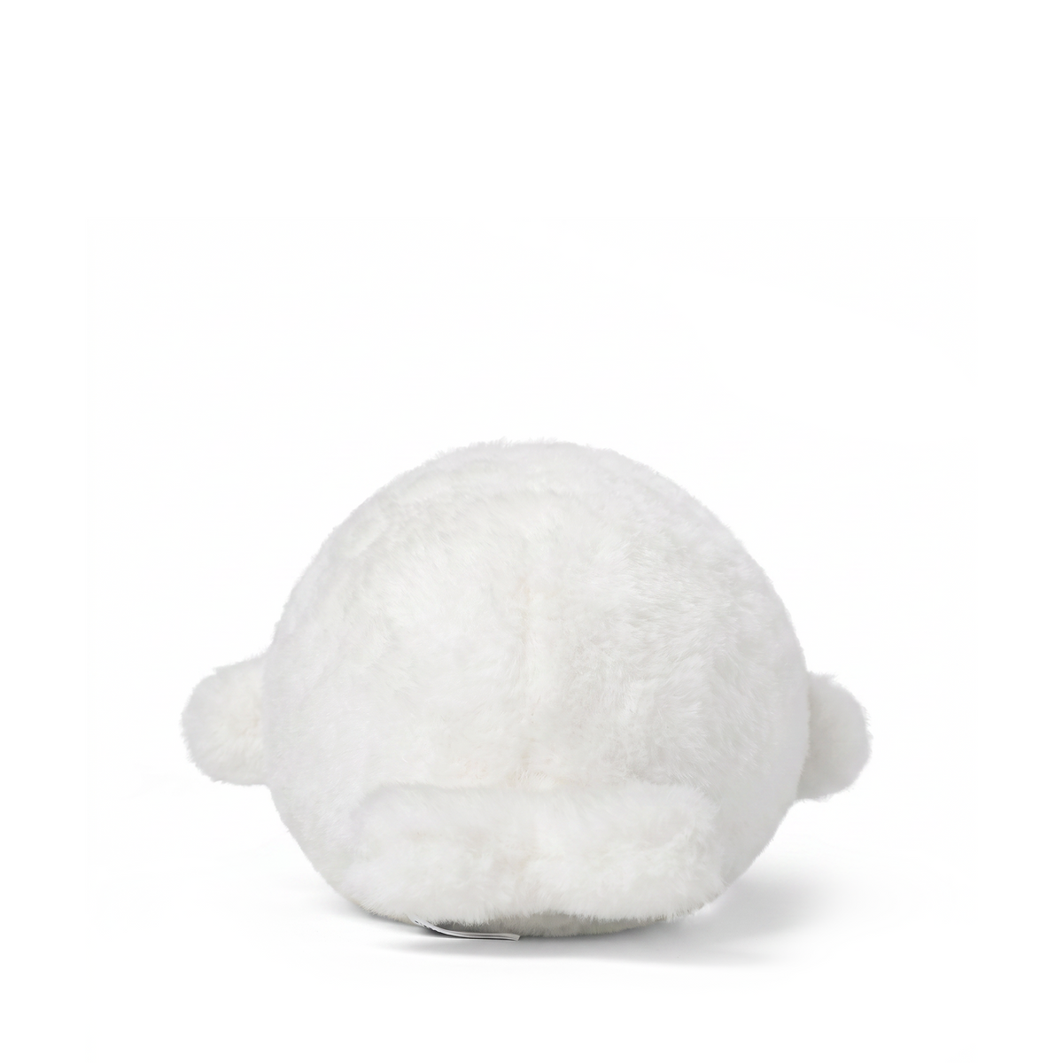 Dodo Baby Seal
