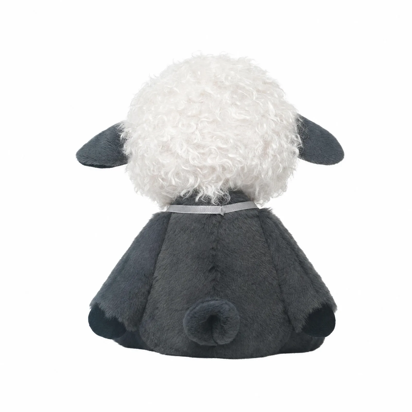 Robin Sheep