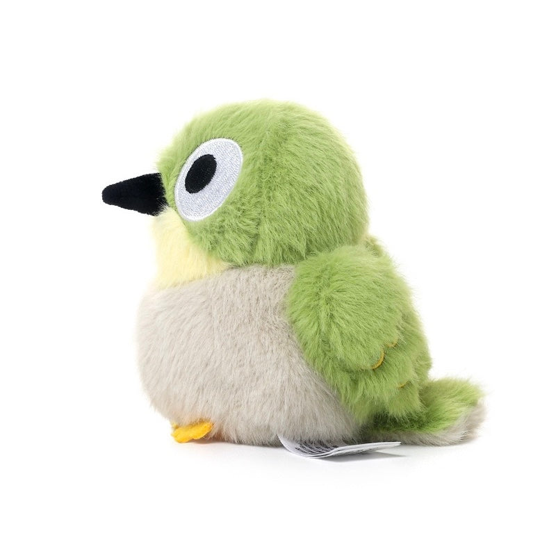 Kiki Warbling White-eye