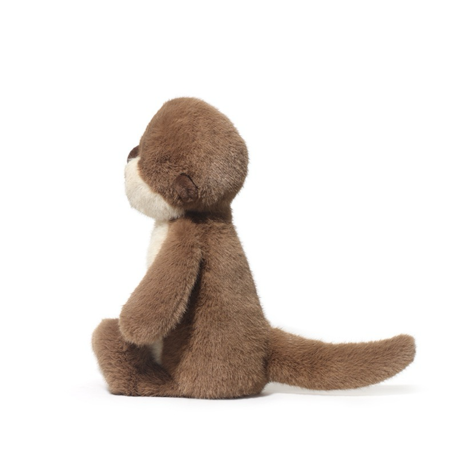 Obi Otter