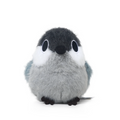 Paki Cinereous Tit