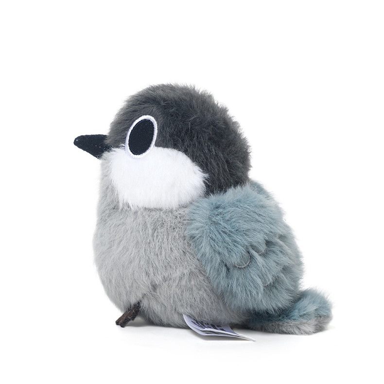 Paki Cinereous Tit