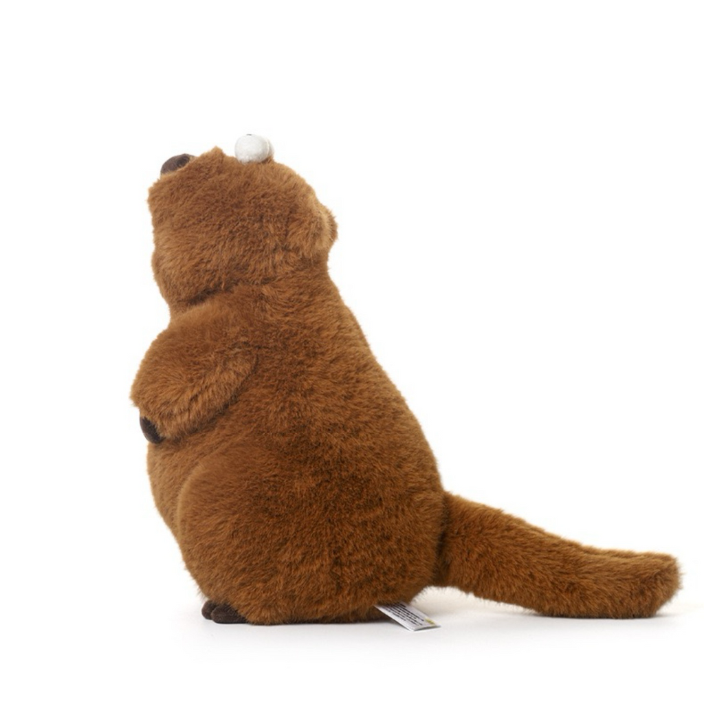 Dan Marmot