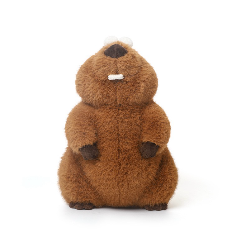 Dan Marmot