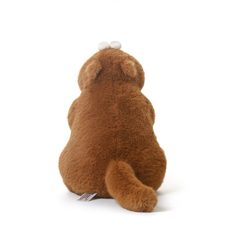 Dan Marmot