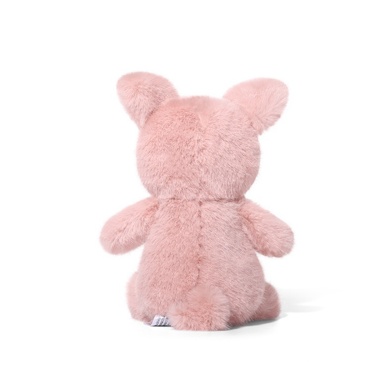 Megan Pig