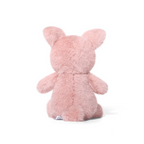 Megan Pig