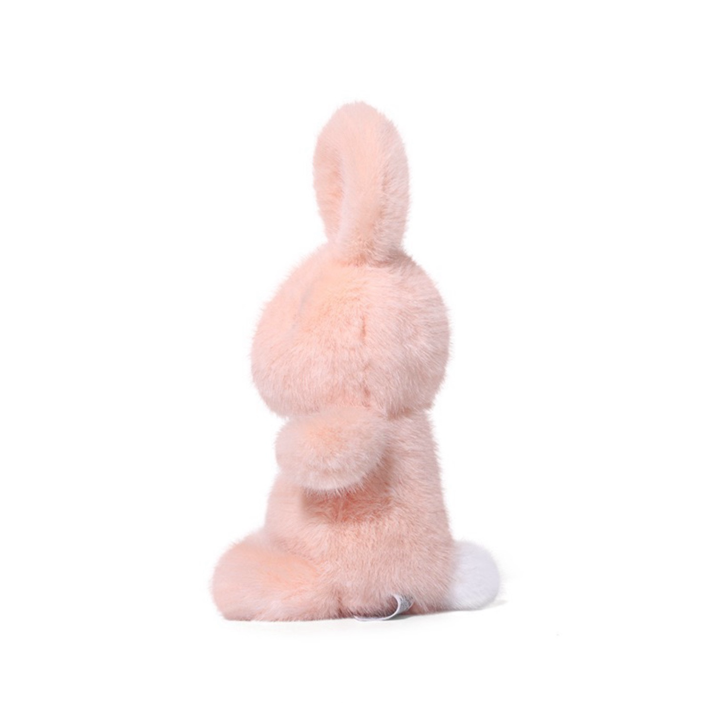 Riley Bunny