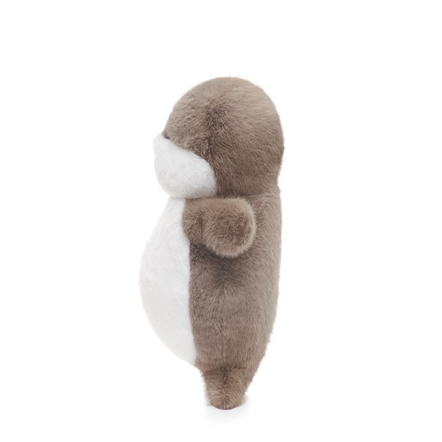 Sally Seal