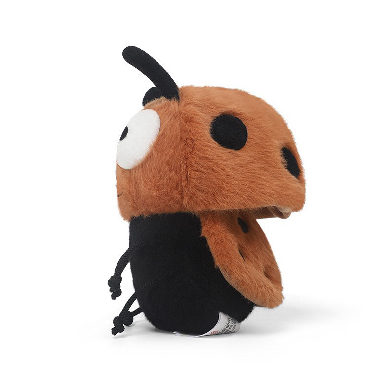 Coco Ladybug