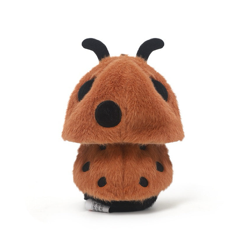 Coco Ladybug