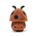 Coco Ladybug