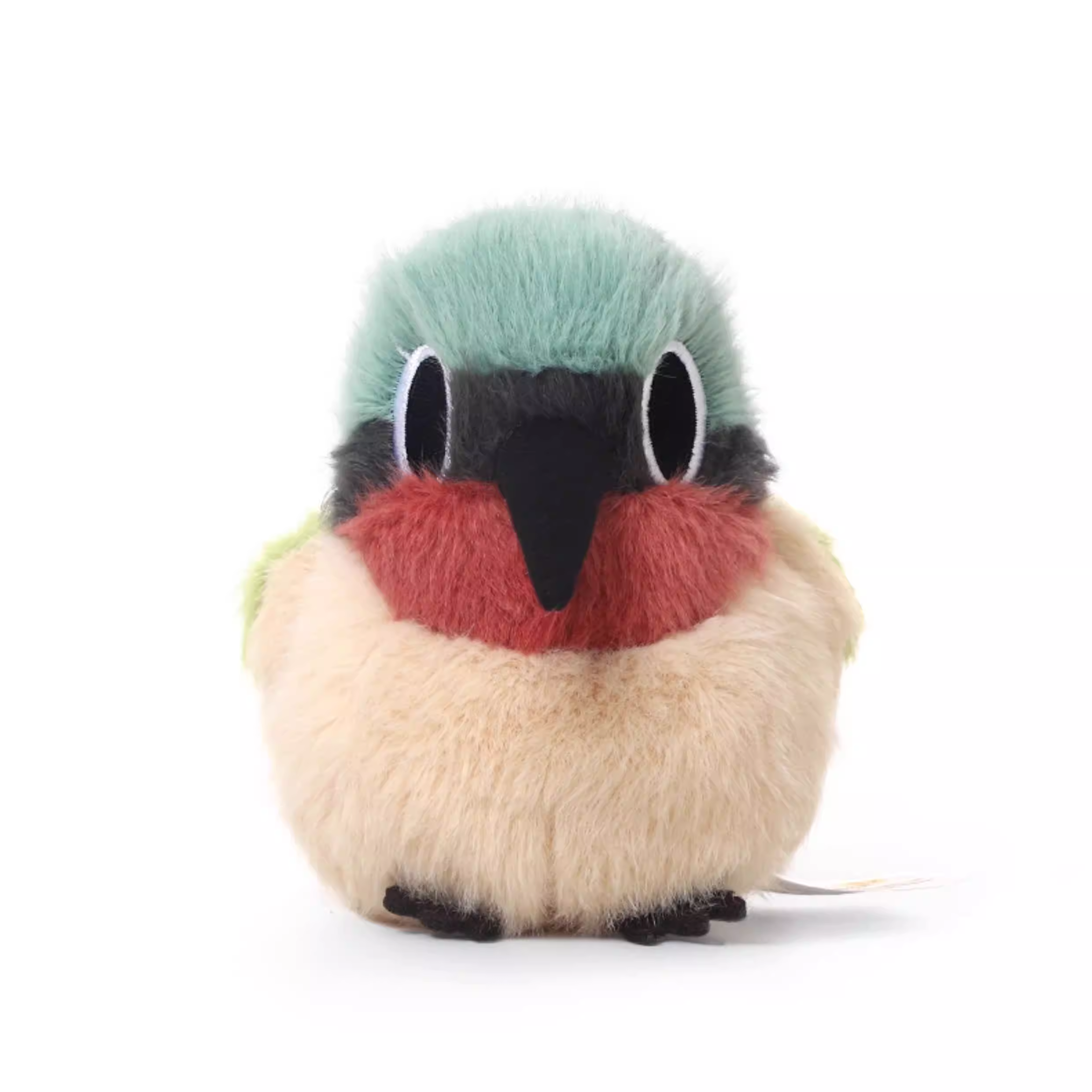 Sandy Fork-tailed Sunbird