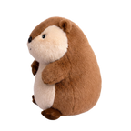 Biscuit Marmot
