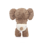Shy Wicky Elephant