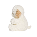 Berne Dog