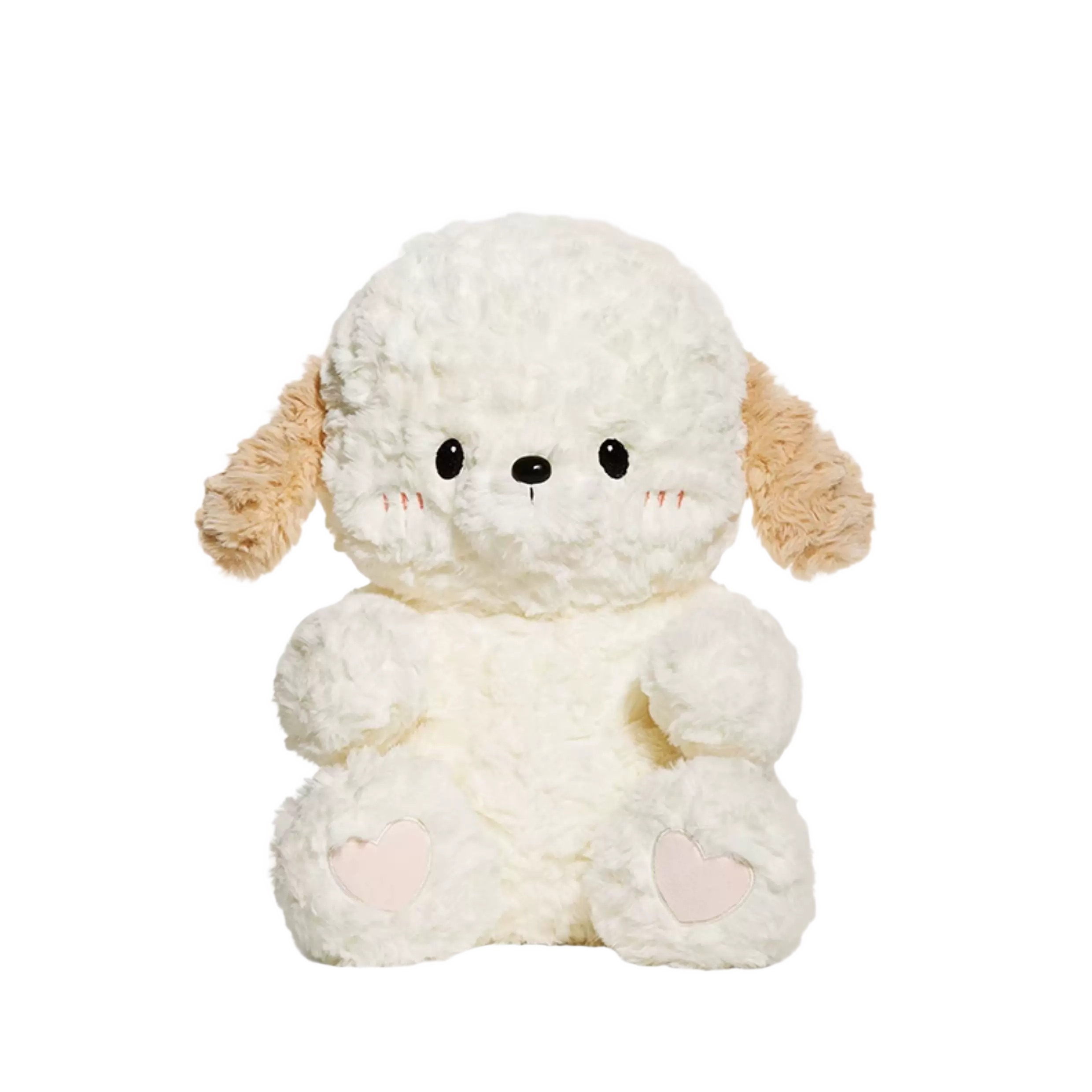 Berne Dog