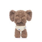 Shy Wicky Elephant