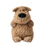 Tommy Dog
