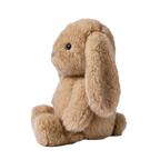Toby Bunny