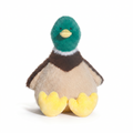 Roby Duck