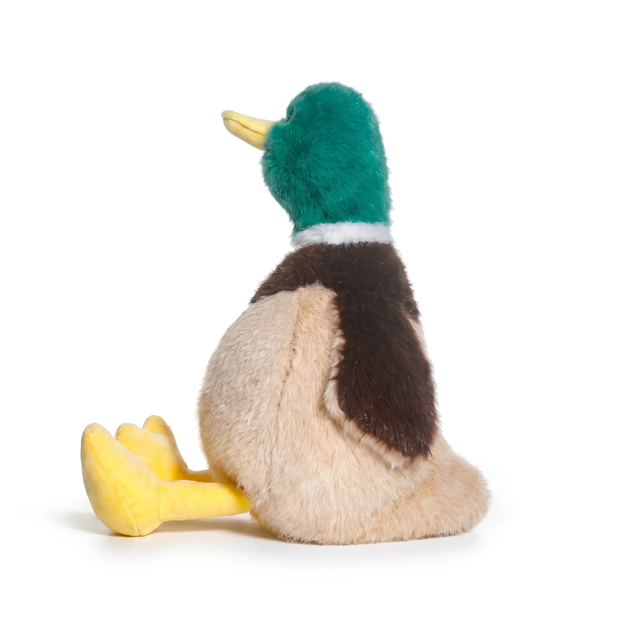 Roby Duck